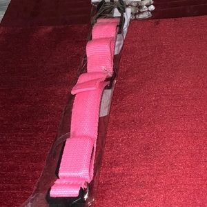 6/$20 Small dog led collars